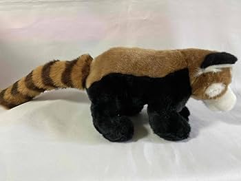 Amazon.co.jp: あさひやま動物園 レッサーパンダ ぬいぐるみ 旭川市