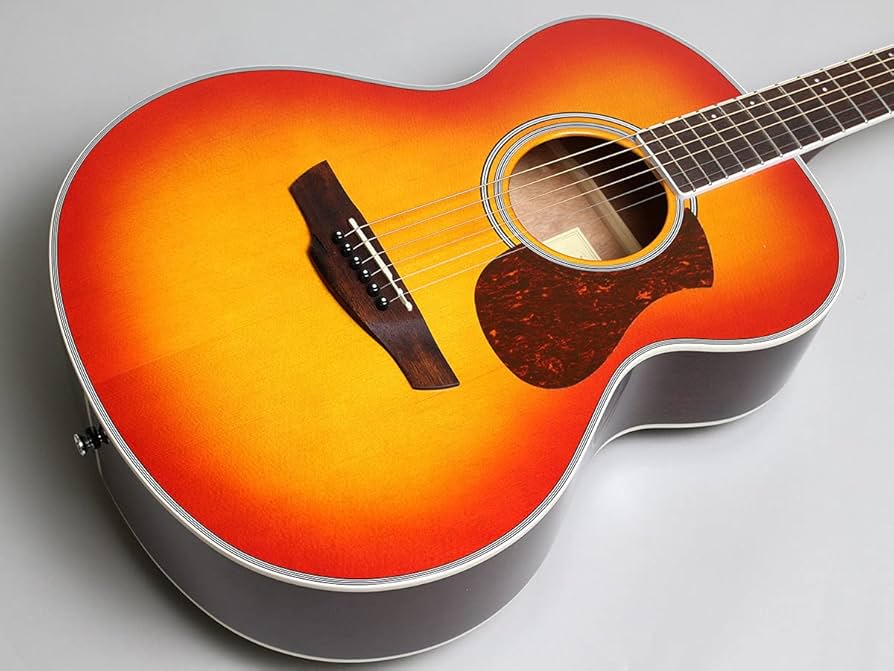 Amazon | James J-300A CAO アコースティックギター初心者12点セット
