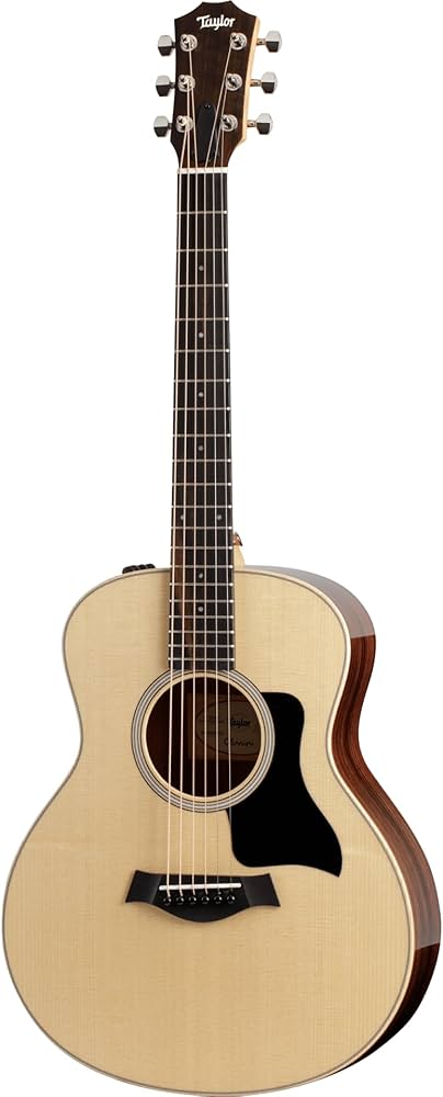 Amazon.com: Taylor GS Mini-e Rosewood Plus Acoustic-electric