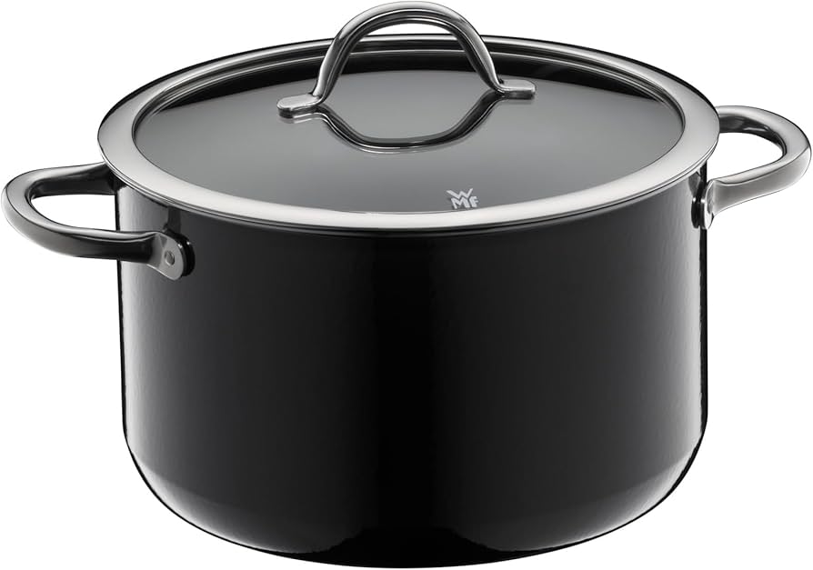 Amazon.com: WMF Fusiontec Inspire Large Cooking Pot 24 cm Glass