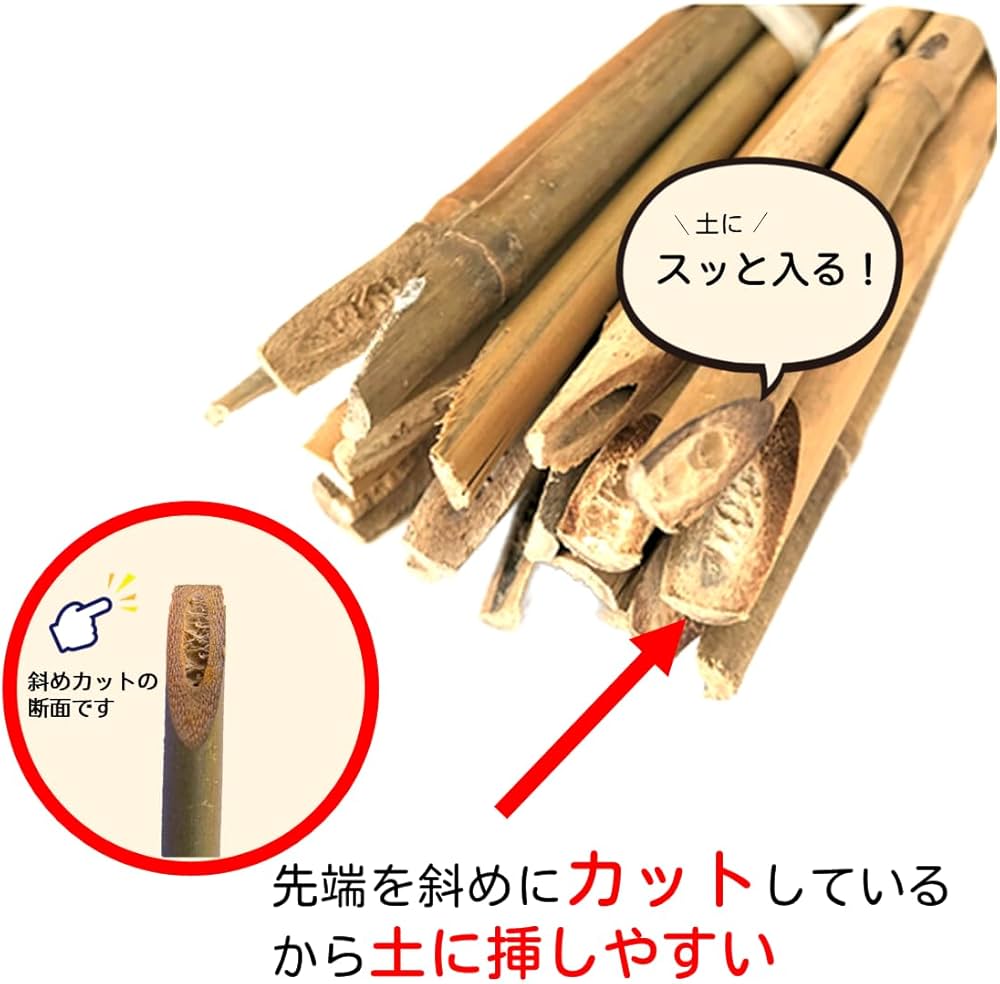 Amazon | 臼井農畜産 (自社製造) 天然竹 女竹 120cm20本 【根元カット