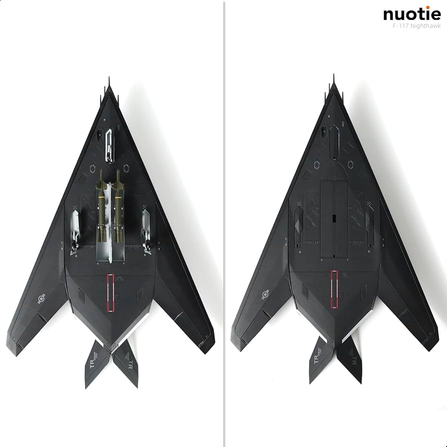 Amazon.com: NUOTIE 1/72 F-117 Nighthawk Stealth Striker Fighter