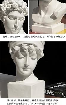 Amazon.co.jp: 石膏像 胸像 人物像 置物 デビッド像 石膏像風 レプリカ