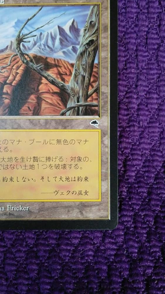 MTG 不毛の大地 4枚セット MTG 不毛の大地 日本語 4枚セット