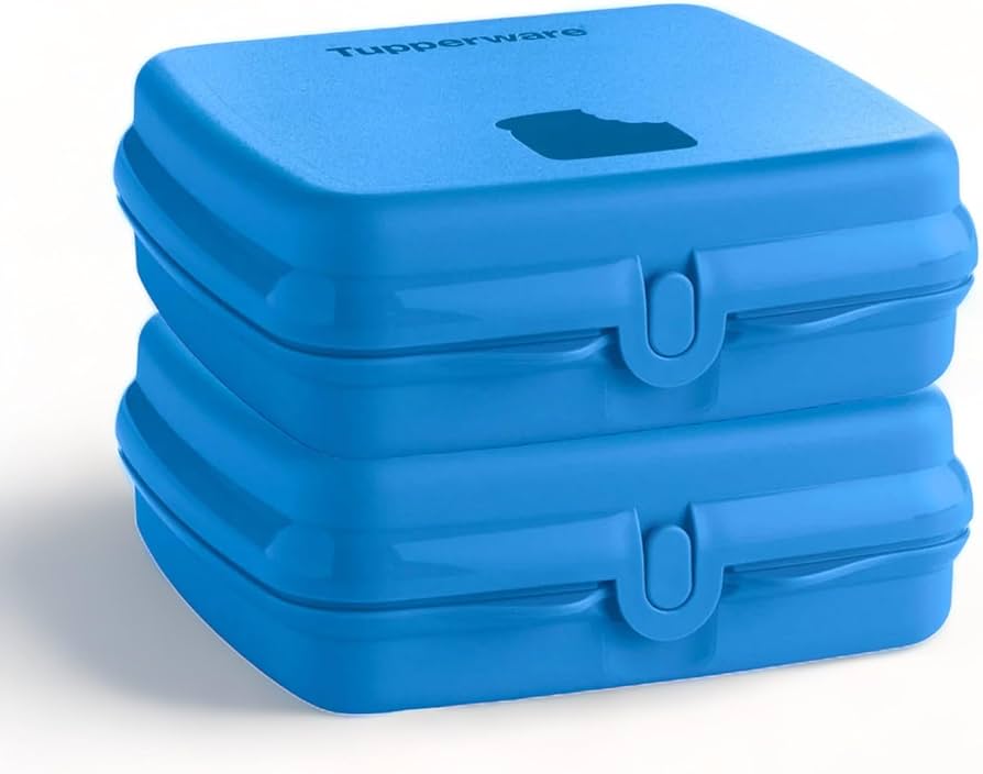 Amazon.com: Tupperware Sandwich Keeper Set of 2 in Blue: Home