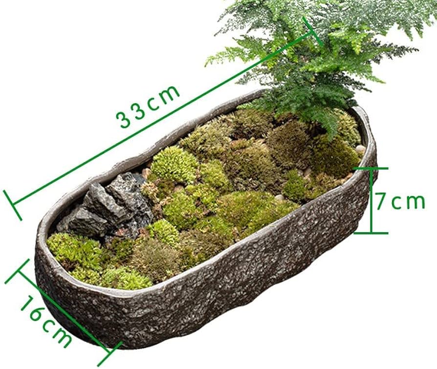 Amazon.co.jp: 金魚鉢 金魚 メダカ 鉢 メダカ鉢 睡蓮鉢 水耕植木鉢 亀