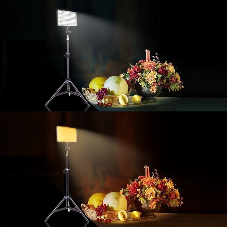 Amazon | SAMTIAN 160LED 撮影 ライト プロ・ビデオライト スタジオ