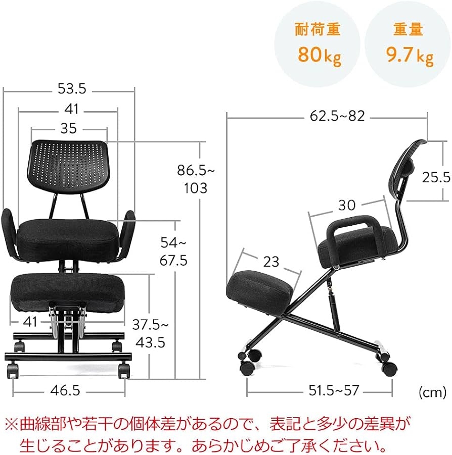 Amazon｜イーサプライ バランスチェア 大人用 背もたれ 上下昇降 角度