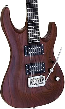 Amazon | 【ケース付】AriaProII アリアプロツー MAC-DLX STBR Stained