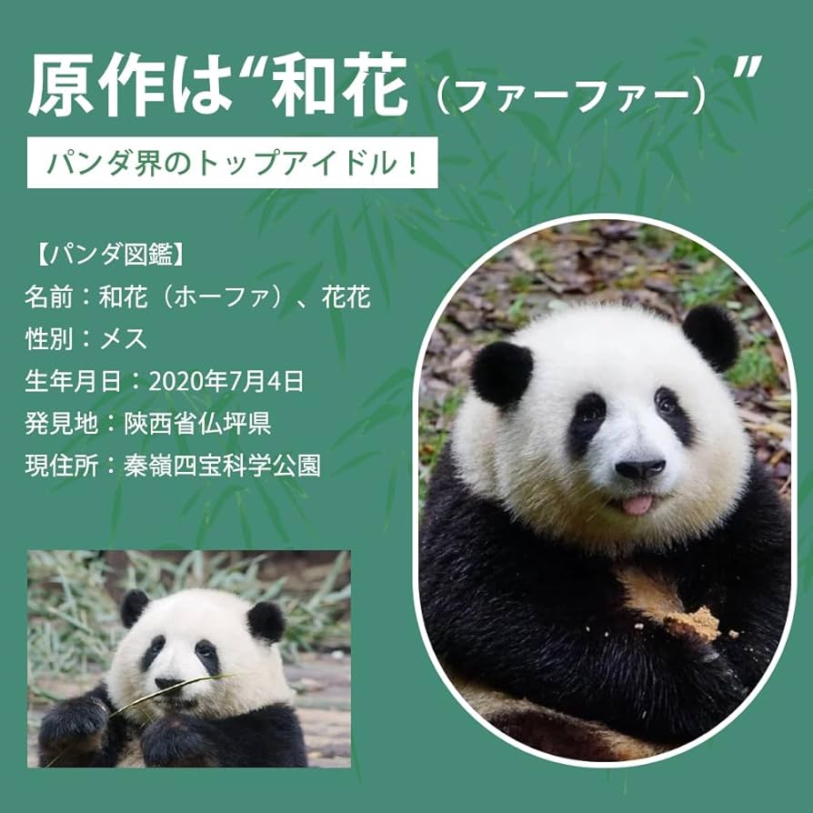 Amazon.co.jp: 和花（ホーファ） パンダ ぬいぐるみ リアルぬいぐるみ
