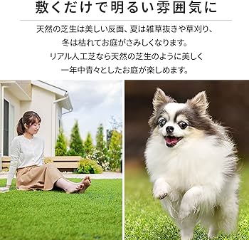 Amazon | アイリスオーヤマ リアル防草人工芝 1m×7m | 人工芝