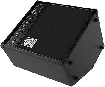 61PV2WzNiNL._AC_UF350,