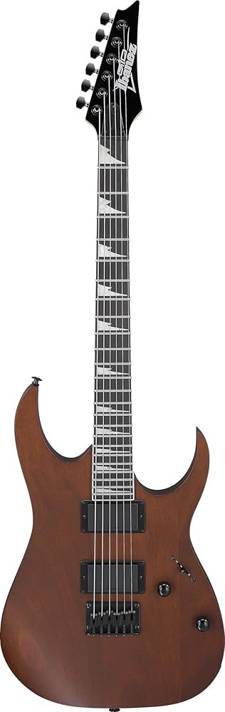 Amazon | GIO Ibanez 初心者向けエレキギター (ウォルナット・フラット