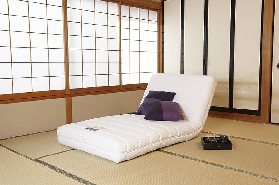 Amazon.co.jp: フランスベッド 電動リクライニングマットレス ルーパー