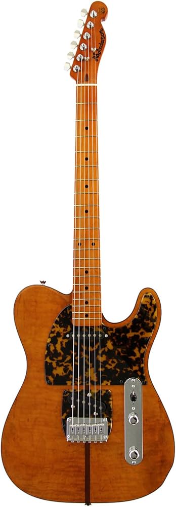 Amazon.co.jp: H.S. Anderson H.S.アンダーソン エレキギター HS-1 MAD