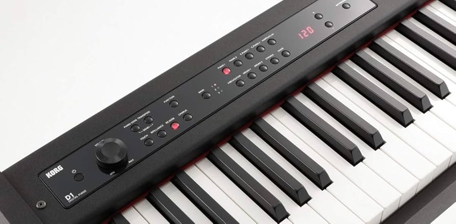 Amazon.com: Korg D1 88-Key Stage Piano Controller : Musical