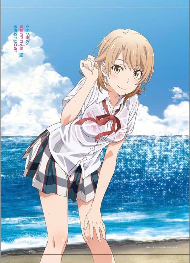 Amazon.co.jp: 俺ガイル 一色いろは 海 B2タペストリー : おもちゃ