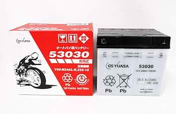 61YnqRwBLOL._AC_UF350,