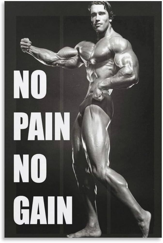 Amazon.co.jp: Arnold Schwarzenegger Gym アーノルド・シュワルツェ