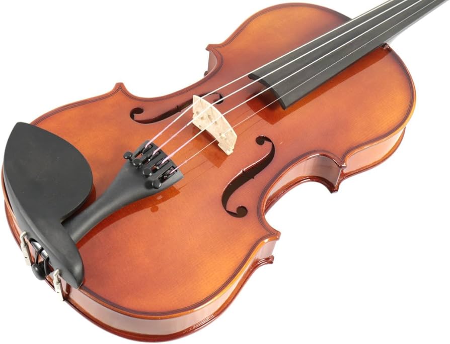 Amazon | Carlo giordano/VS-1 バイオリンセット 1/10 Violin Set