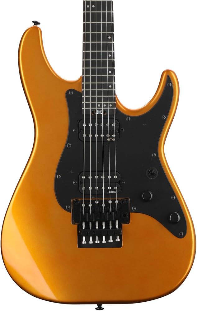 Amazon.com: Schecter Sun Valley Super Shredder with Floyd Rose