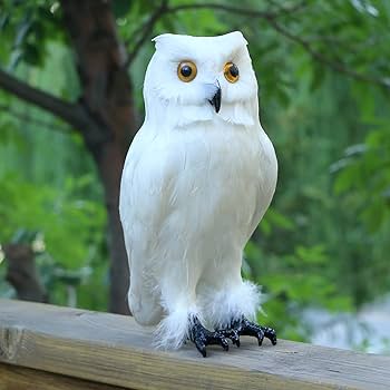 Amazon.co.jp: リアルな白い羽のフクロウの置物 生きているような鳥