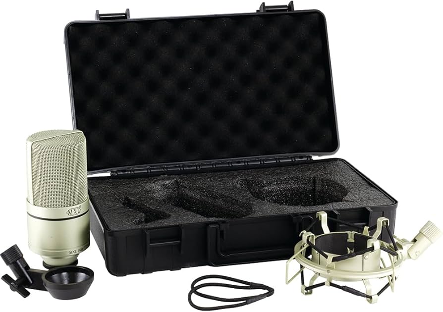 Amazon.co.jp: MXL 990 コンデンサー・マイクロフォン(ショック