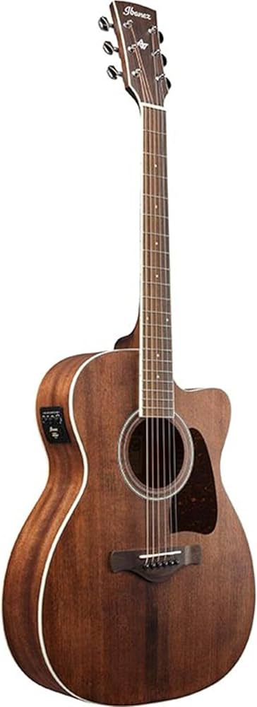 Amazon | Ibanez アイバニーズ エレクトリック アコースティックギター