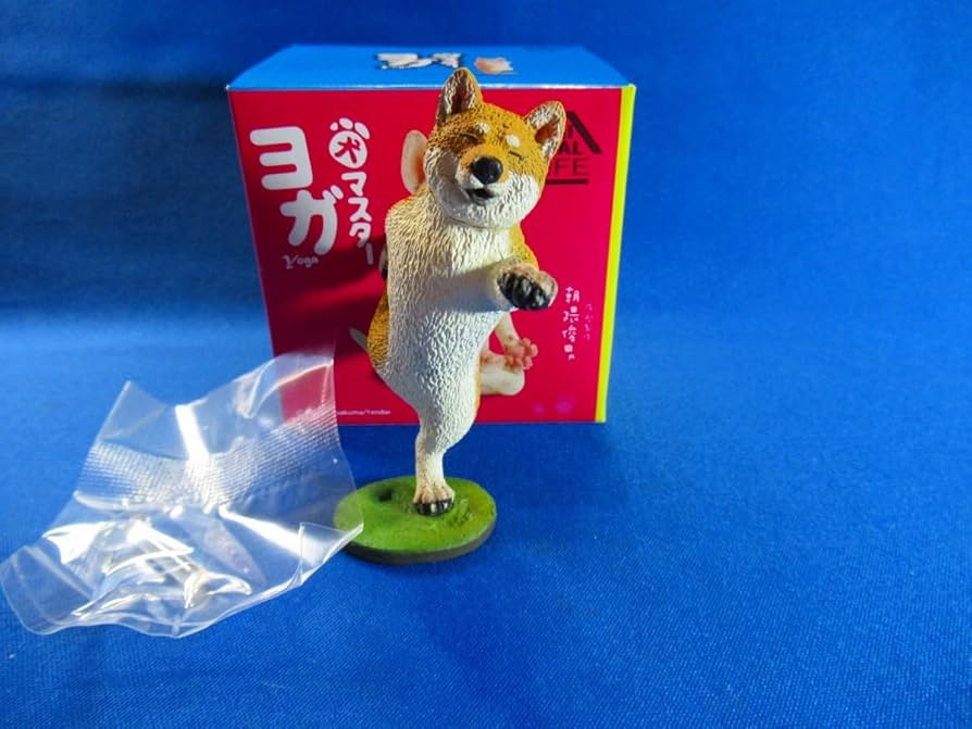 Amazon.co.jp: 朝隈俊男 アニマルライフ 犬のヨガマスター 柴犬 Animal