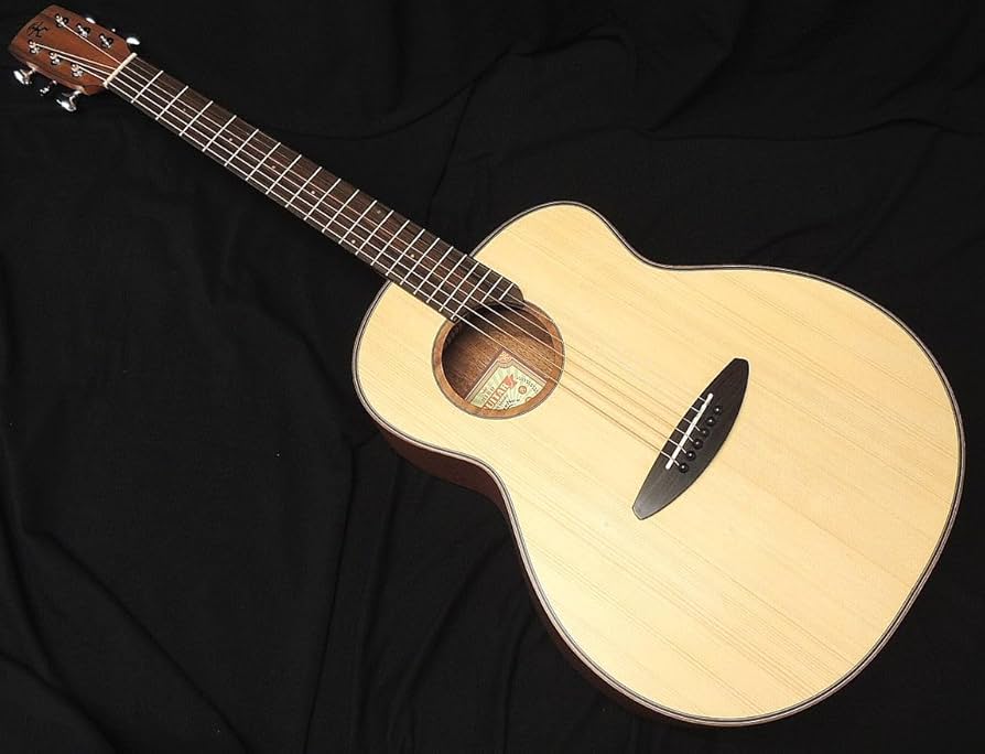 Amazon | aNueNue Bird Guitar aNN-L10E Solid Sitka Spruce Top