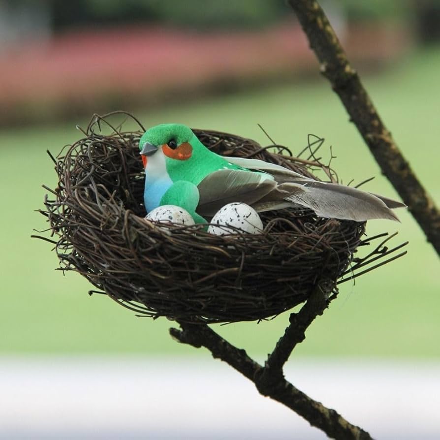 Artificial Bird Nest, Bird Nest with Artificial Bird Eggs, Country