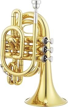 Amazon.co.jp: ジュピター Bb ポケットトランペット、JTR710 : 楽器
