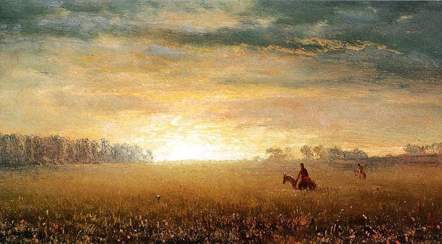 Amazon.co.jp: アート絵画 大草原の夕日 アルバート ビアシュタット
