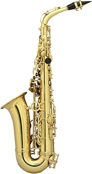 Amazon | SELVA/初心者向けアルトサックス入門セット Alto Sax SAS-100