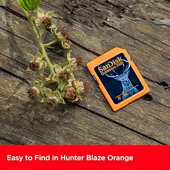 Amazon | SanDisk 128GB 2枚パック アウトドア FHD SDXC UHS-I