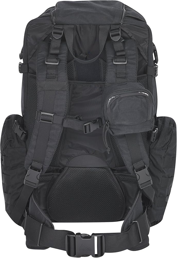 Amazon.co.jp: Kelty ケルティー タクティカルレイブン 2500 バック