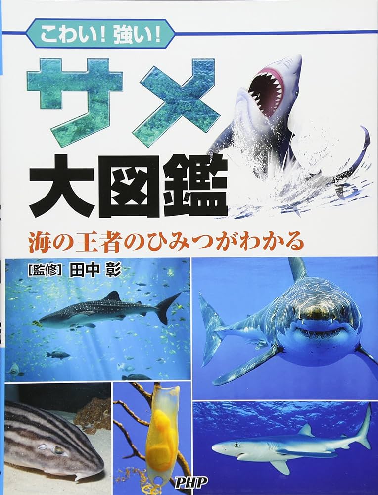 Amazon.co.jp: こわい! 強い! サメ大図鑑 海の王者のひみつがわかる