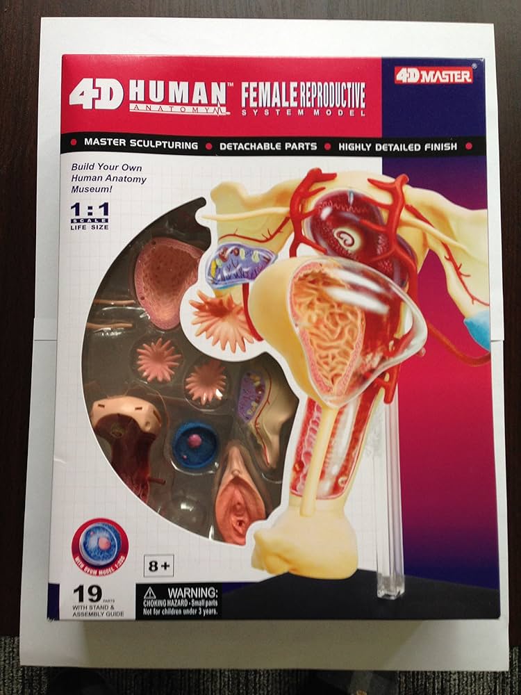 Amazon.co.jp: 青島文化教材社 スカイネット 立体パズル 4D VISION