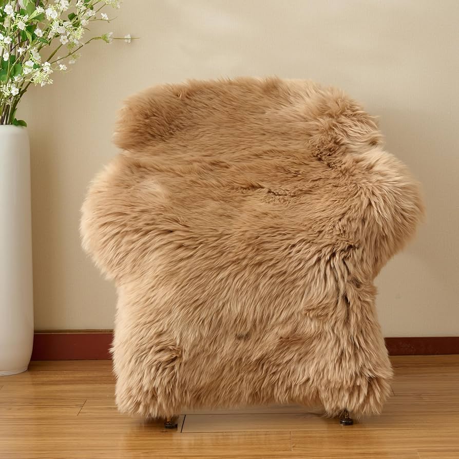 Amazon.com: GINAMUSE Premium Genuine Sheepskin Area Rug for
