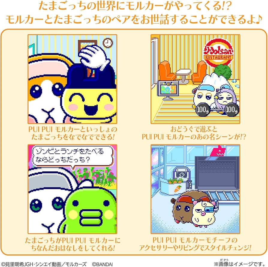 Amazon.co.jp: たまスマカード PUI PUI モルカーフレンズ : おもちゃ