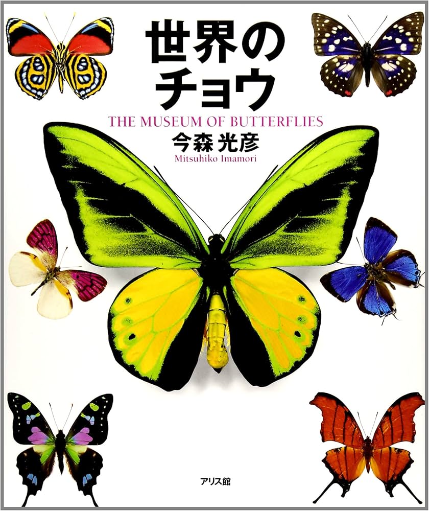 世界のチョウ | 今森 光彦 |本 | 通販 | Amazon