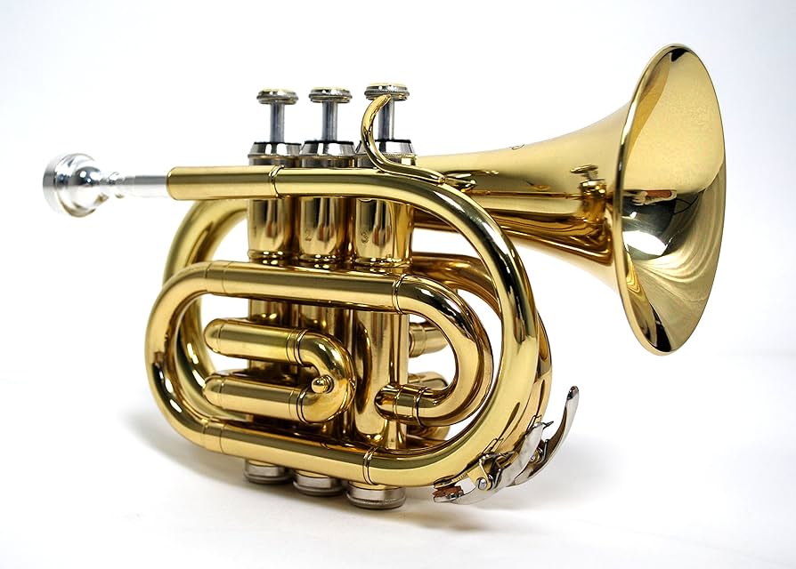 Amazon.co.jp: Kaerntner ケルントナー ポケットトランペット KTR-33P
