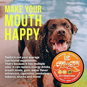 Amazon.com: TeaZA Herbal Energy Pouch Spicy Cinnamon Flavor