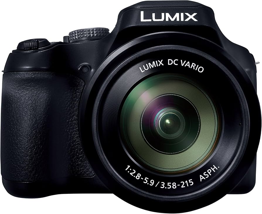 Amazon.com : Panasonic Lumix FZ80D Digital Camera with Advanced