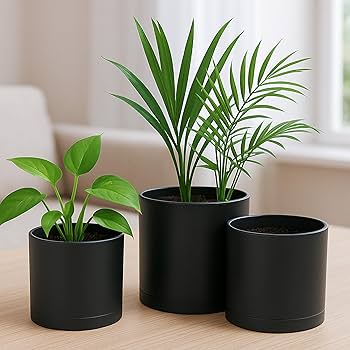 Amazon.com : D'vine Dev 4 Inch 5 Inch 6 Inch, Set of 3 Plastic