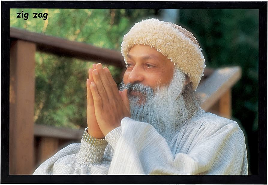 Amazon.com - zig zag Osho Photo Frame For Wall (13.5x9.5 inches