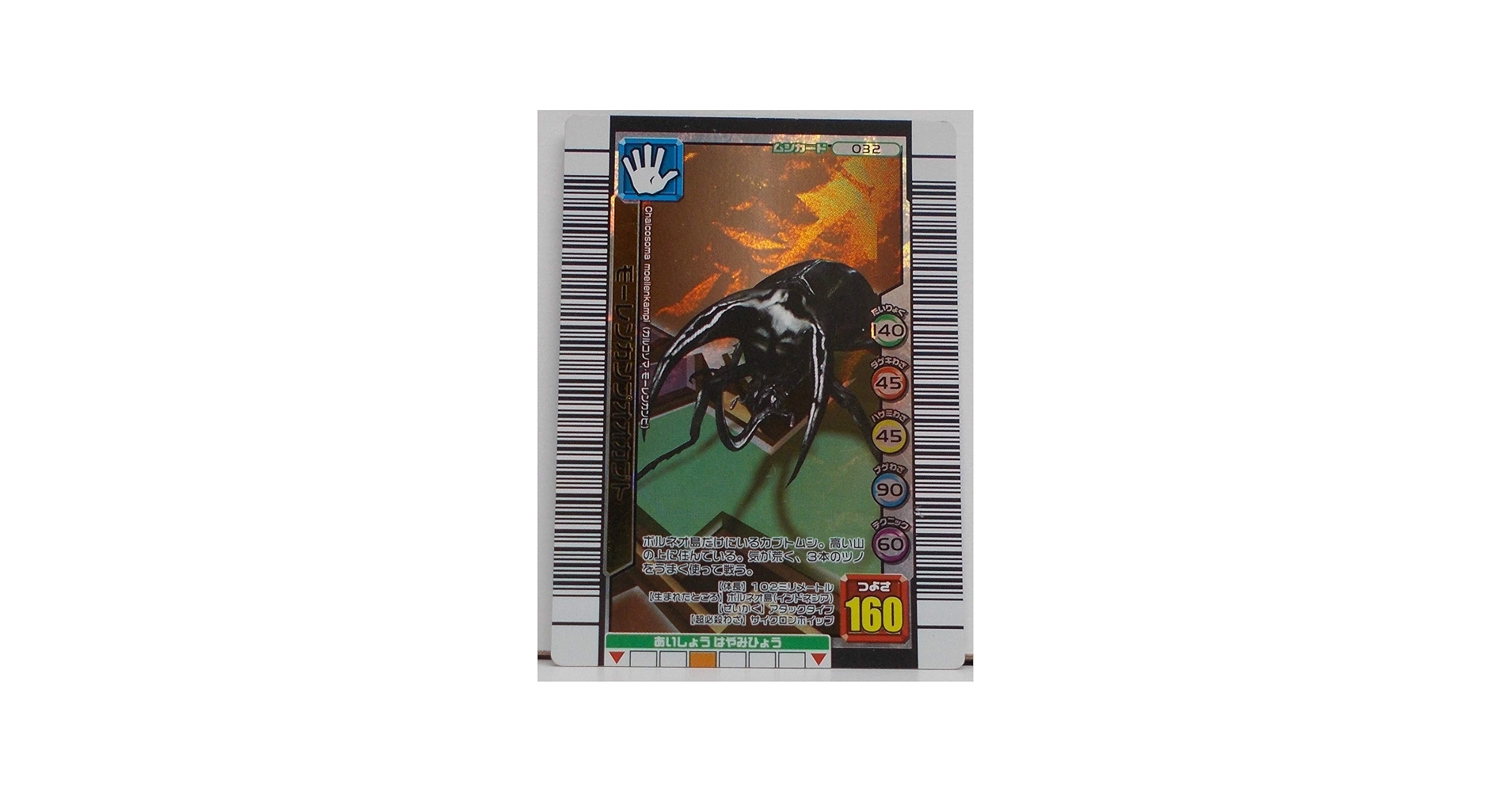 Amazon.co.jp: 【032-3億枚突破記念限定】モーレンカンプオオカブト