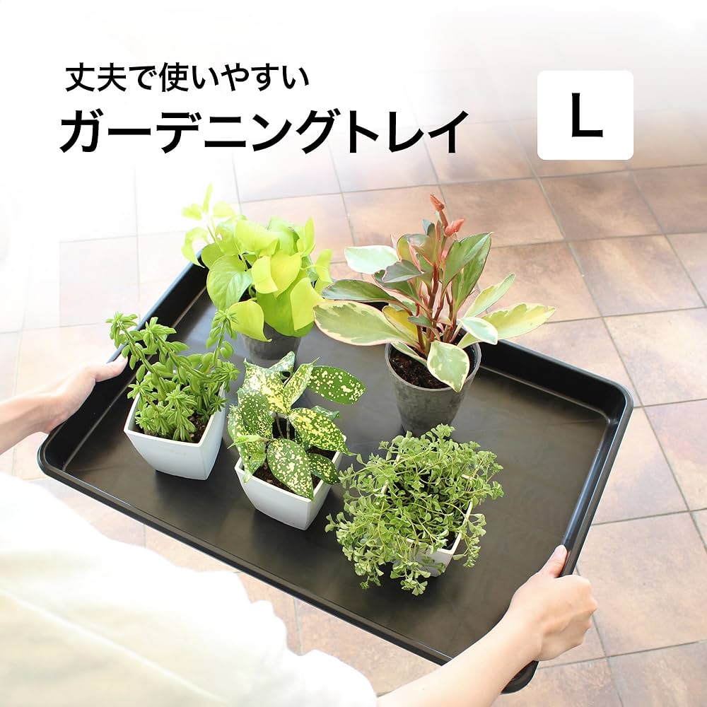 Amazon.co.jp: タカショー ガーデン 受け皿 ガーデニングトレイ L