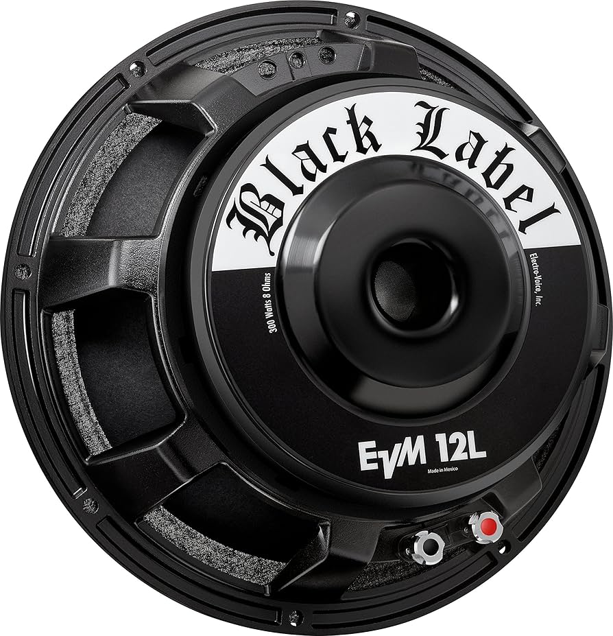 Amazon.com: Electro-Voice EVM12L BlackLabel 12