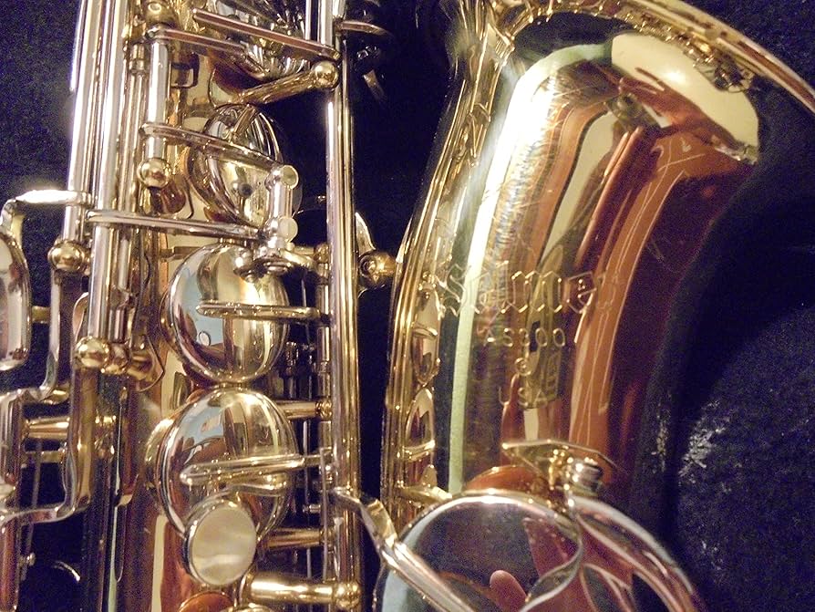 Amazon.com: Selmer Aristocrat AS600 Alto Sax W/Case : Musical